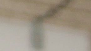 25 millones de estadounidenses perderán esta semana los $600 dólares del subsidio por desempleo