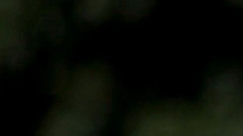 La caravana de jóvenes saldrá de lugares de Texas, California y Carolina del Norte.