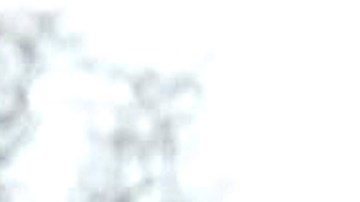 Razones que podrían desalentar recibir otro cheque de estímulo económico