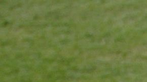El béisbol de las Ligas Mayores ha adoptado un distintivo para recordar el 9 de septiembre.