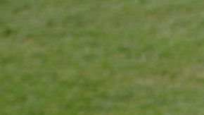 El béisbol de las Ligas Mayores ha adoptado un distintivo para recordar el 9 de septiembre.