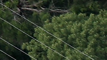 CBP busca mejorar la vigilancia en la frontera.