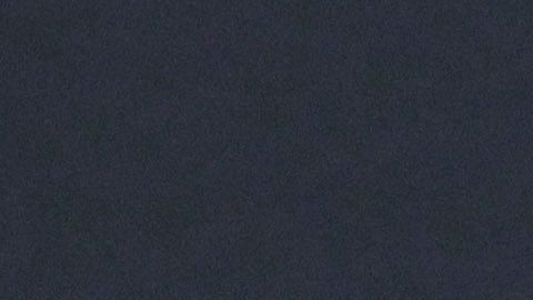 Hal Steinbrenner no quita el dedo del renglón y espera que las condiciones permitan aficionados en 2020.