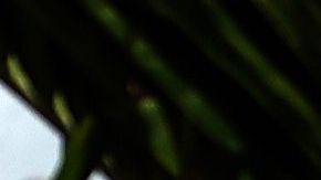 Trabajo a distancia en Barbados con incentivo a los nómadas digitales