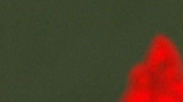 El “Tomahawk Chop” es uno de las coreografías más características en el béisbol.