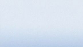 El presidente Trump habría incurrido en conflicto de interés.