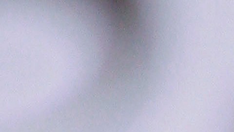 SANYA, HAINAN ISLAND - DECEMBER 06: Contestant of the 55th Miss World 2005, Dafne Molina Lona of Mexico performs during the Beachwear Final at the Sheraton Sanya Resort on December 6, 2005 in Sanya, Hainan Island of China. Miss Russia Yulia Ivanova won the event. The final of Miss World 2005 will be held in Sanya on December 10. (Photo by China Photos/Getty Images)