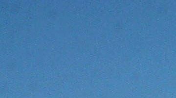 Un avión de Hawaiian Airlines.