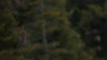 Los gigantes de norteamérica comparten una historia llena de paralelos y similitudes.