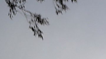 Hertz acciones bancarrota automóviles Uber dinero Nueva York