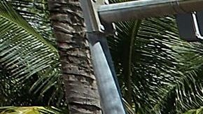 Turistas cargando maletas en Miami Beach.