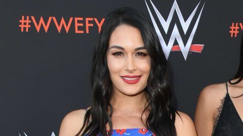 Nikki y Brie Bella antes del embarazo.