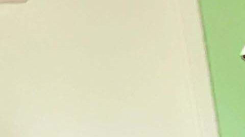 Jesús A. Campos llegó a EE.UU. de la mano de su madre cuando tenía 8 años de edad.