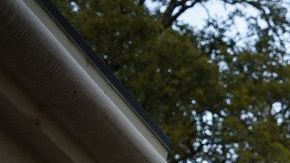 Un grupo de inmigrantes se encadenó a la mansión del gobernador Gavin Newsom para pedir la liberación de presos para prevenir el contagio de COVID-19. (Cortesía Brooke Anderson)