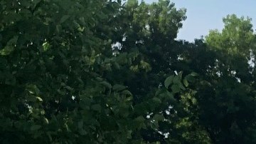 En Staten Island, la comunidad hispana junto a veteranos latinos reclaman justicia en el caso de Vanessa Guillén