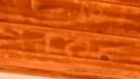 Andrés Webster junto con su esposa Patricia Cabrera y sus hijos Alfa, Andrés, y Aleph abrieron un café en medio de la pandemia. (Araceli Martínez/La Opinión)