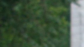 Protestas recientes del movimiento “Black Lives Matter”, incrementaron los enfrentamientos con policías.