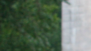 Protestas recientes del movimiento “Black Lives Matter”, incrementaron los enfrentamientos con policías.