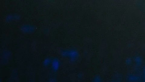 Saúl ÁLvarez vs Gennady Golovkin