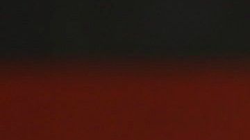 Bruno Marioni fue entrenador de los Pumas de enero a mayo del 2019.