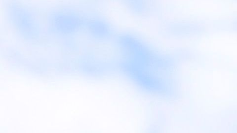 Algunos aficionados decidieron salir a festejar en la Ciudad de México.