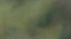 Miguel González 'Míchel', en un entrenamiento con Pumas.