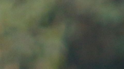 Miguel González 'Míchel', en un entrenamiento con Pumas.