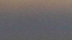 Ricardo Peláez reclamó airadamente.