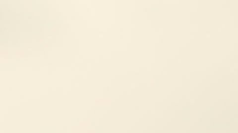 Uriel Antuna se recupera de la enfermedad.