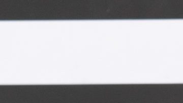 Jorge Bernal y Karla Birbragher.