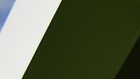 Lewis Hamiltón y su perro