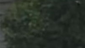 Lucio Pecher Guarcax