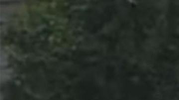 Lucio Pecher Guarcax