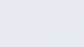 La primera dama Melania Trump y Stephanie Winston Wolkoff fueron amigas durante 15 años.