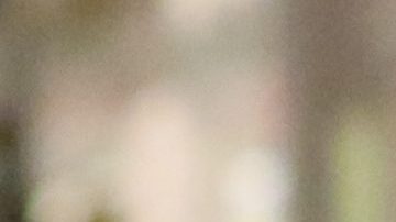 Raúl de Molina olvida las acusaciones de acoso y viaja para celebrar los 21 años de su hija, Mía de Molina.