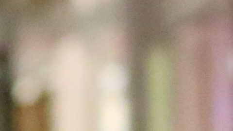 Raúl de Molina olvida las acusaciones de acoso y viaja para celebrar los 21 años de su hija, Mía de Molina.