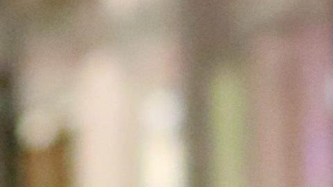 Raúl de Molina olvida las acusaciones de acoso y viaja para celebrar los 21 años de su hija, Mía de Molina.