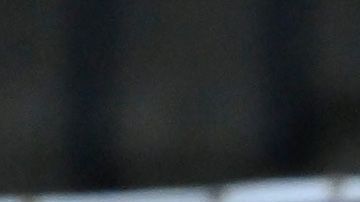Miguel Herrera