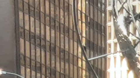Autoridades de NYC pretenden bajar la tensión entre NYPD y las comunidades de color.
