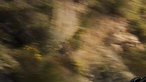 Nissan Sentra 2020. / Foto: Cortesía Nissan.