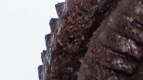 Oreo-1150199 en Pixabay