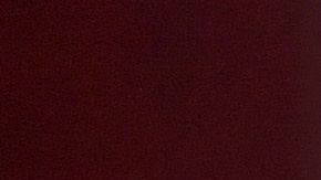 Pepe Aguilar 'obliga' a sus trabajadores a ponerse la vacuna contra el Covid-19.