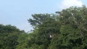 La atracción de inversión extranjera a México como opción de China es una realidad.