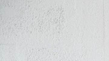 PLW Mind Body Love 4