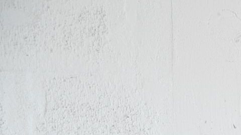 PLW Mind Body Love 4