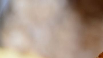 Pan-panque-congerdesign de Pixabay