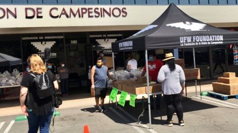 La UFW ha estado ayudando a los campesinos durante la pandemia. (UFW)