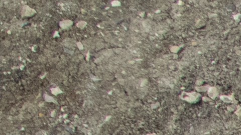 Se cree que el esqueleto encontrado en Inglaterra fue víctima de un asesinato.