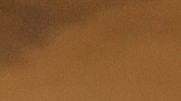 Personas de varios estados reportan haber recibido las semillas.