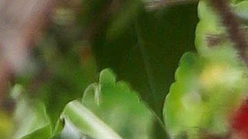 Ana de Armas y Ben Affleck.